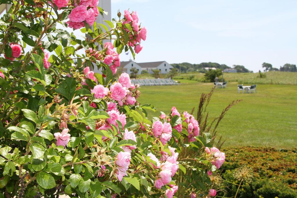 The Seaside Inn Kennebunk Bagian luar foto